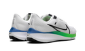 Nike Air Zoom Pegasus 40 Platinum Tint Green Strike