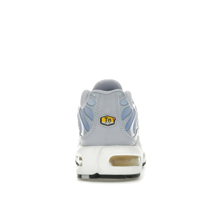 Nike Air Max Plus Daybreak (Women's)
