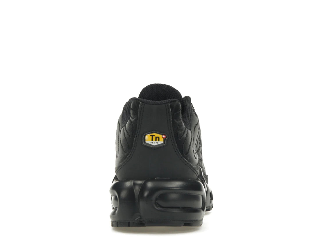 Nike Air Max Plus Black Anthracite Sail (Women's)
