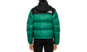 The North Face Women's 1996 Retro Nuptse Jacket Evergreen