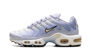 Nike Air Max Plus Daybreak (Women's)